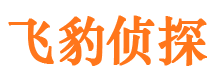 商丘调查事务所